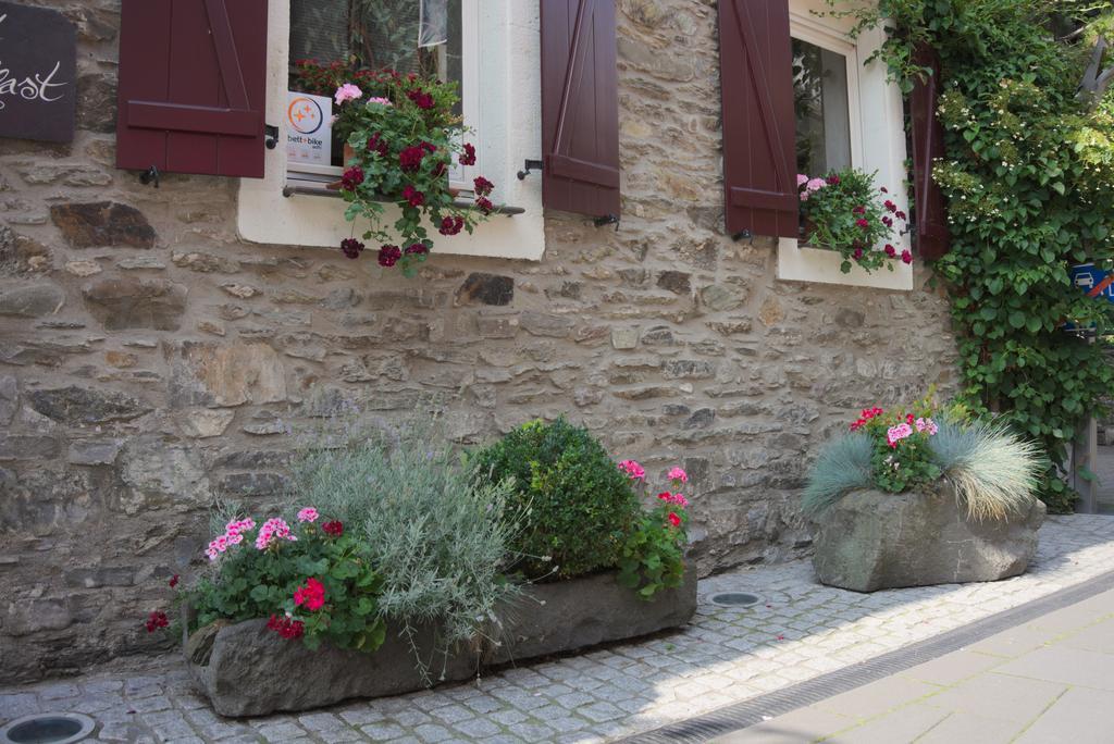 Hotel Garni Altes Winzerhaus Moselschaenke Kobern-Gondorf Exteriér fotografie