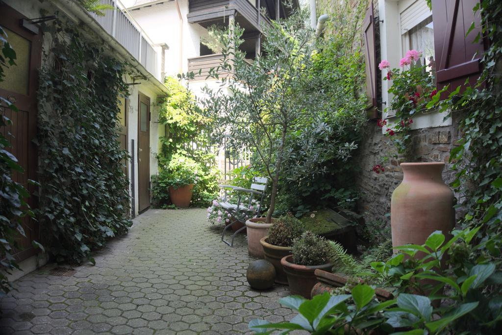 Hotel Garni Altes Winzerhaus Moselschaenke Kobern-Gondorf Exteriér fotografie